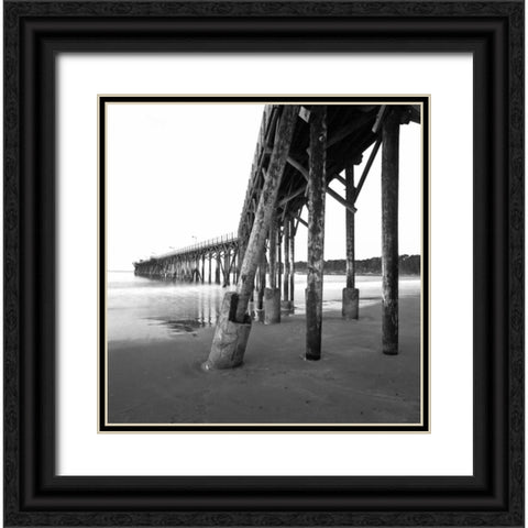 Pier Pilings XIX Black Ornate Wood Framed Art Print with Double Matting by Peterson, Lee
