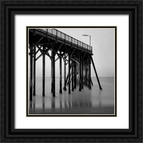 Pier Pilings XX Black Ornate Wood Framed Art Print with Double Matting by Peterson, Lee