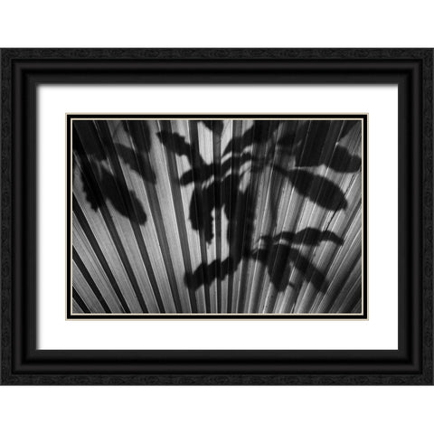 Shadow III Black Ornate Wood Framed Art Print with Double Matting by Peterson, Lee