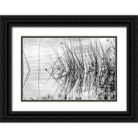 Reeds II Black Ornate Wood Framed Art Print with Double Matting by Peterson, Lee