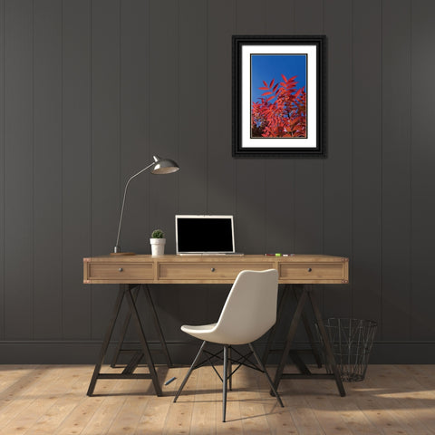 Fall Leaves III Black Ornate Wood Framed Art Print with Double Matting by Peterson, Lee