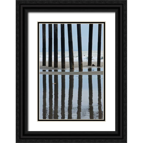 Pier Pilings II2 Black Ornate Wood Framed Art Print with Double Matting by Peterson, Lee