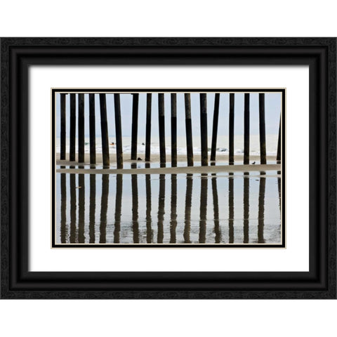 Pier Pilings II3 Black Ornate Wood Framed Art Print with Double Matting by Peterson, Lee