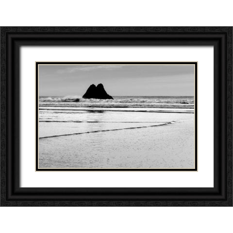 Beach Reflection V Black Ornate Wood Framed Art Print with Double Matting by Peterson, Lee