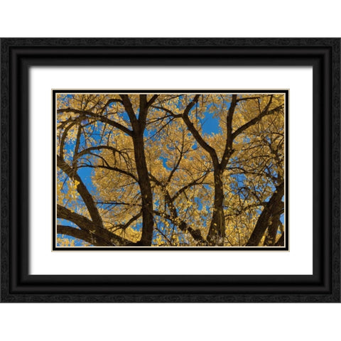 Fall Leaves VII Black Ornate Wood Framed Art Print with Double Matting by Peterson, Lee