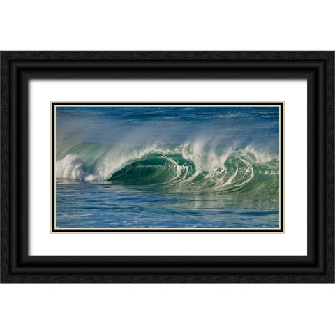 Ocean Waves I Black Ornate Wood Framed Art Print with Double Matting by Peterson, Lee