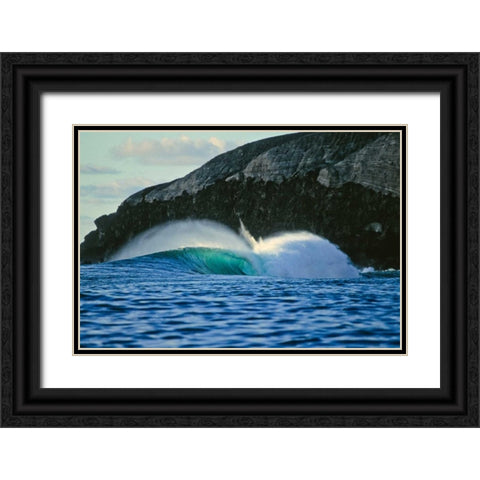Ocean Waves III Black Ornate Wood Framed Art Print with Double Matting by Peterson, Lee