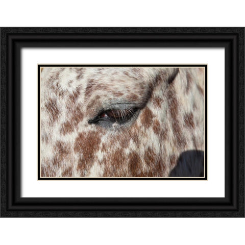 Horse Up Close I Black Ornate Wood Framed Art Print with Double Matting by Peterson, Lee