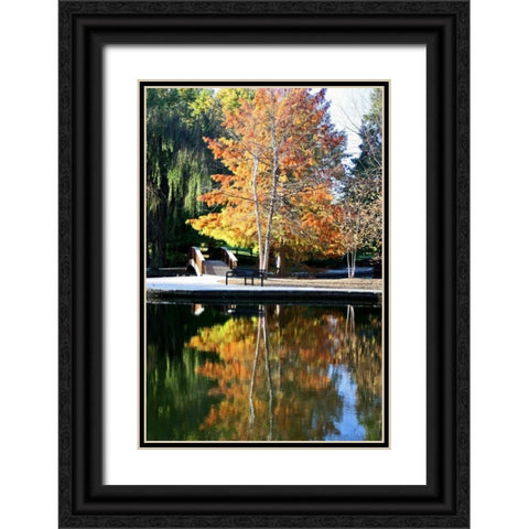 Fall Colors Black Ornate Wood Framed Art Print with Double Matting by Putman, Tammy