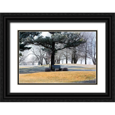 Bench II Black Ornate Wood Framed Art Print with Double Matting by Putman, Tammy