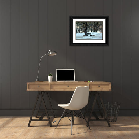 Bench III Black Ornate Wood Framed Art Print with Double Matting by Putman, Tammy