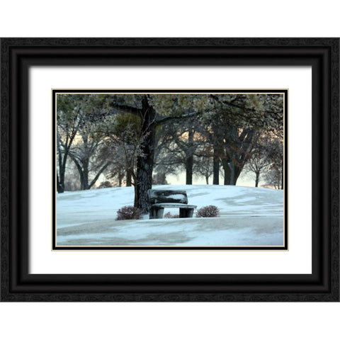 Bench III Black Ornate Wood Framed Art Print with Double Matting by Putman, Tammy