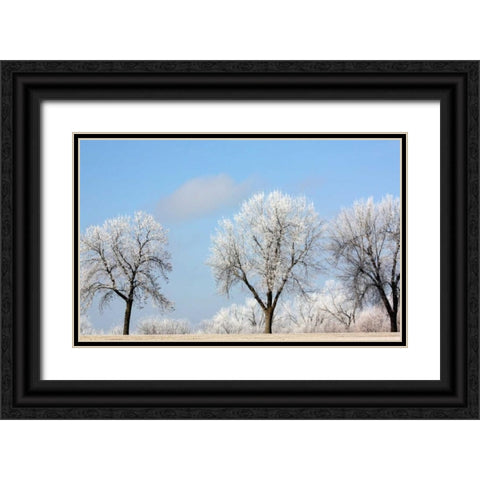 Frozen Fog I Black Ornate Wood Framed Art Print with Double Matting by Putman, Tammy