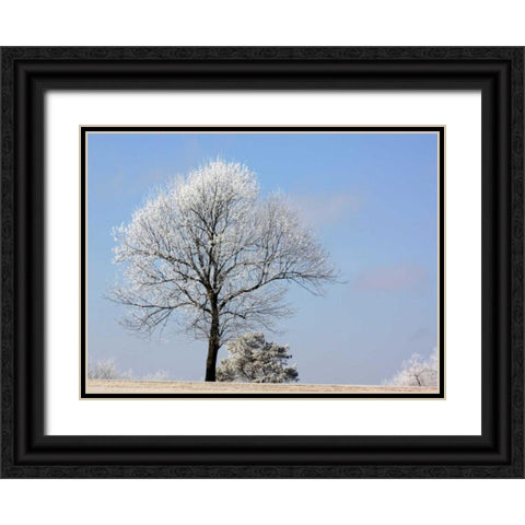 Frozen Fog II Black Ornate Wood Framed Art Print with Double Matting by Putman, Tammy