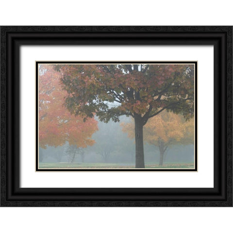 Foggy Trees II Black Ornate Wood Framed Art Print with Double Matting by Putman, Tammy