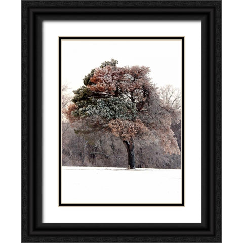 Tree in Snow I Black Ornate Wood Framed Art Print with Double Matting by Putman, Tammy