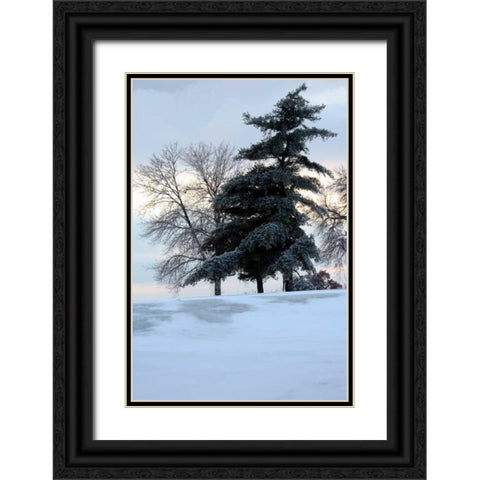 Tree in Snow II Black Ornate Wood Framed Art Print with Double Matting by Putman, Tammy