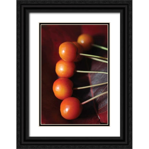 Berries I Black Ornate Wood Framed Art Print with Double Matting by Putman, Tammy