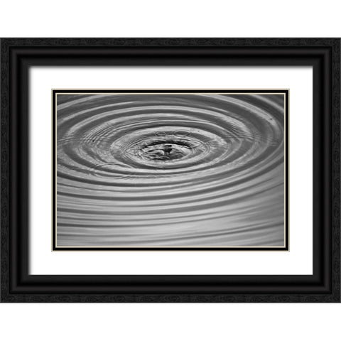 Ripples II Black Ornate Wood Framed Art Print with Double Matting by Putman, Tammy
