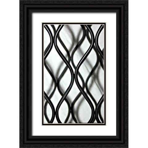 Curves I Black Ornate Wood Framed Art Print with Double Matting by Putman, Tammy