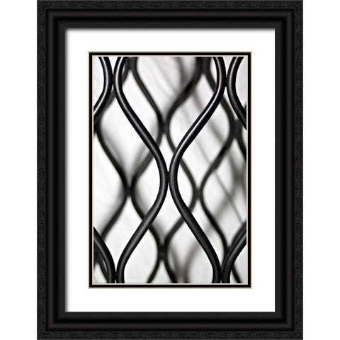 Curves II Black Ornate Wood Framed Art Print with Double Matting by Putman, Tammy