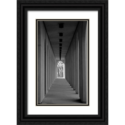 The Walkway Black Ornate Wood Framed Art Print with Double Matting by Putman, Tammy