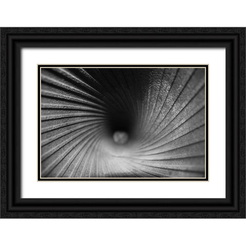 Inside a Howitzer Black Ornate Wood Framed Art Print with Double Matting by Putman, Tammy