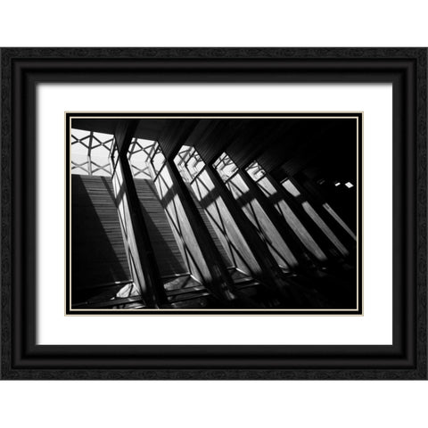 Diamond Ceiling II Black Ornate Wood Framed Art Print with Double Matting by Putman, Tammy