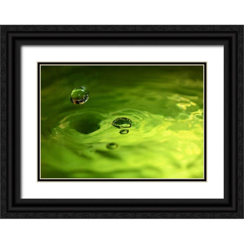 Lemon Lime Drop I Black Ornate Wood Framed Art Print with Double Matting by Putman, Tammy