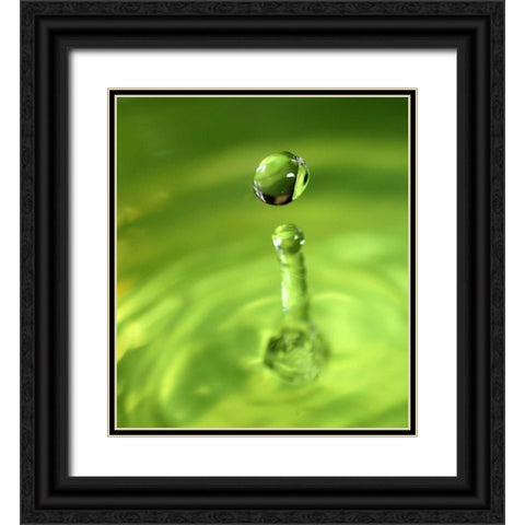 Lemon Lime Drop III Black Ornate Wood Framed Art Print with Double Matting by Putman, Tammy