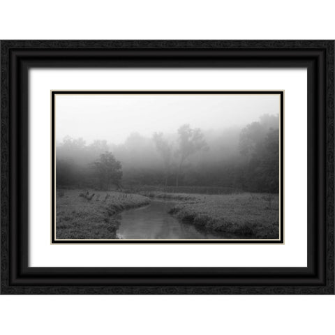 Creek in Fog I Black Ornate Wood Framed Art Print with Double Matting by Putman, Tammy