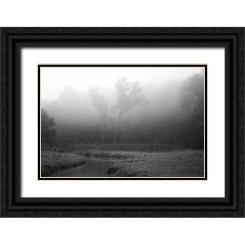 Creek in Fog II Black Ornate Wood Framed Art Print with Double Matting by Putman, Tammy