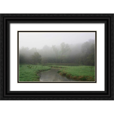 Creek in Fog I Black Ornate Wood Framed Art Print with Double Matting by Putman, Tammy