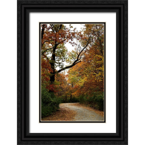 Autumn Drive Black Ornate Wood Framed Art Print with Double Matting by Putman, Tammy