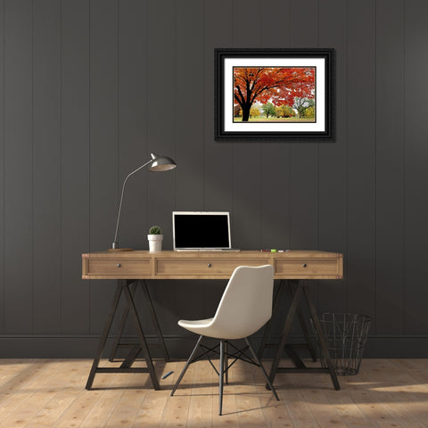Red Fall Black Ornate Wood Framed Art Print with Double Matting by Putman, Tammy