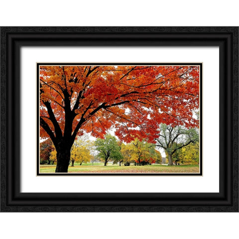 Red Fall Black Ornate Wood Framed Art Print with Double Matting by Putman, Tammy
