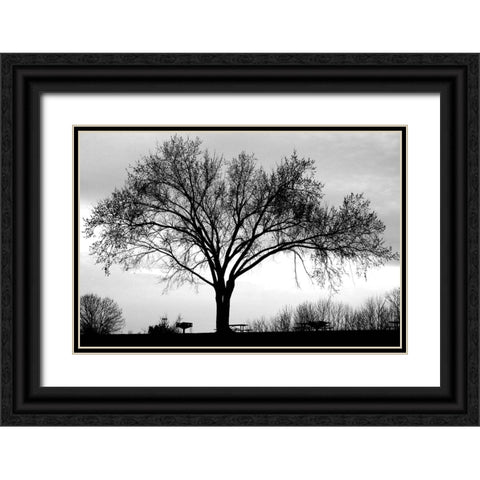 Dusk Black Ornate Wood Framed Art Print with Double Matting by Putman, Tammy