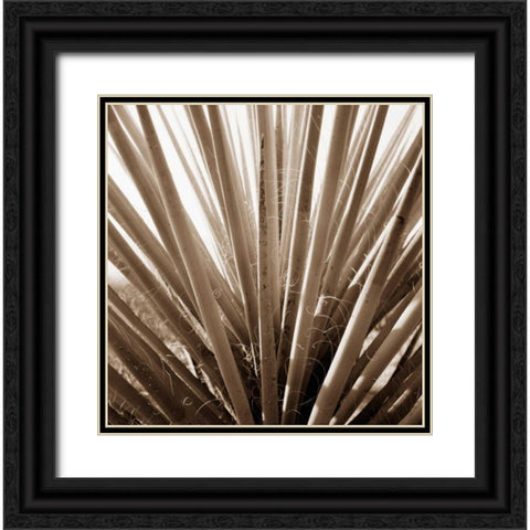 Desert Plants IV Black Ornate Wood Framed Art Print with Double Matting by Stefko, Bob