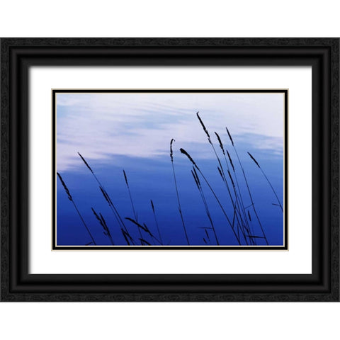 At Waters Edge I Black Ornate Wood Framed Art Print with Double Matting by Stefko, Bob