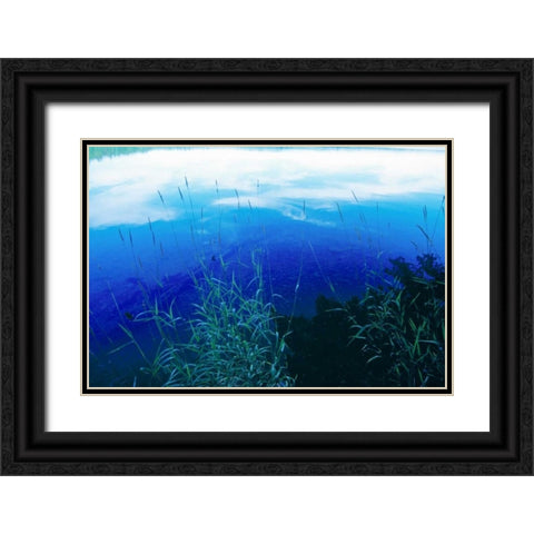 At Waters Edge II Black Ornate Wood Framed Art Print with Double Matting by Stefko, Bob