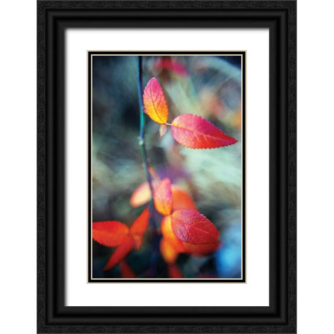Fall Leaves I Black Ornate Wood Framed Art Print with Double Matting by Stefko, Bob