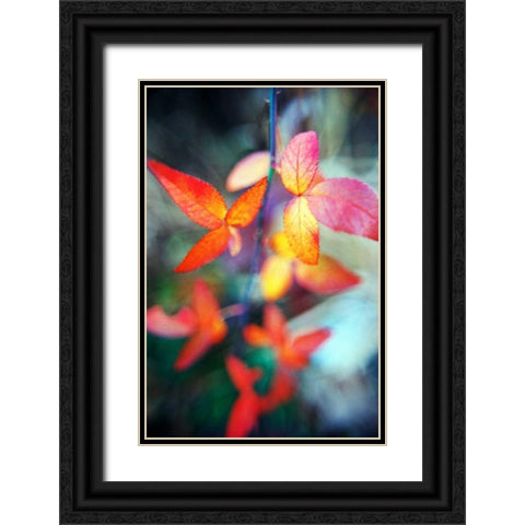 Fall Leaves II Black Ornate Wood Framed Art Print with Double Matting by Stefko, Bob