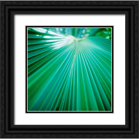 Palm Frond IV Black Ornate Wood Framed Art Print with Double Matting by Stefko, Bob
