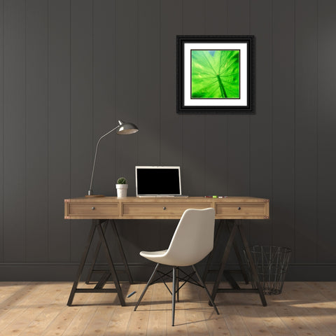 Taro Leaf Black Ornate Wood Framed Art Print with Double Matting by Stefko, Bob