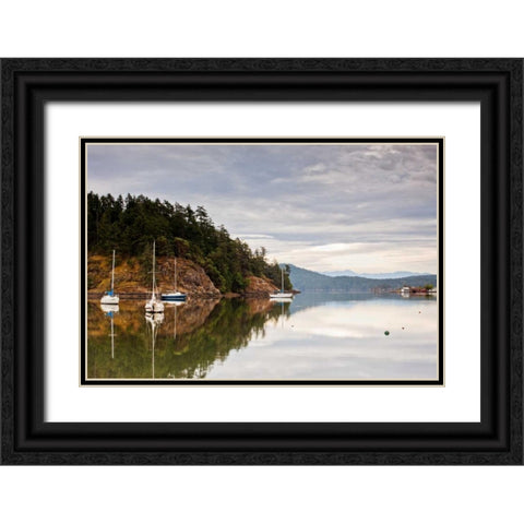Sooke Harbor I Black Ornate Wood Framed Art Print with Double Matting by Stefko, Bob
