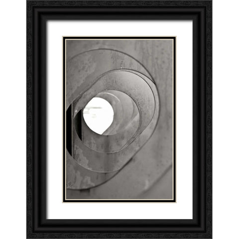 Oval Fractals III Black Ornate Wood Framed Art Print with Double Matting by Styber, Dana