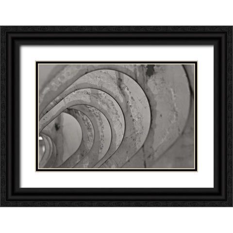 Oval Fractals IV Black Ornate Wood Framed Art Print with Double Matting by Styber, Dana