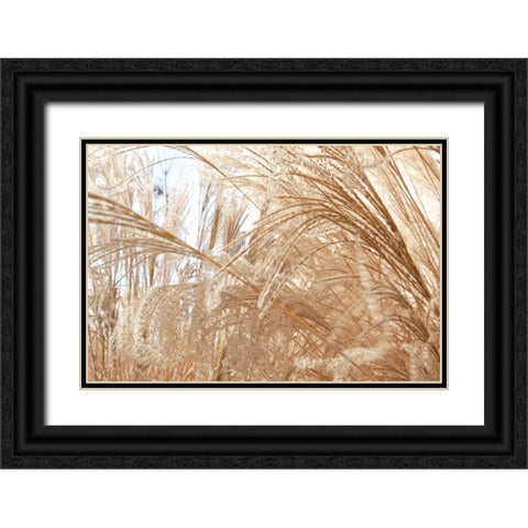 Blowing Grass I Black Ornate Wood Framed Art Print with Double Matting by Styber, Dana
