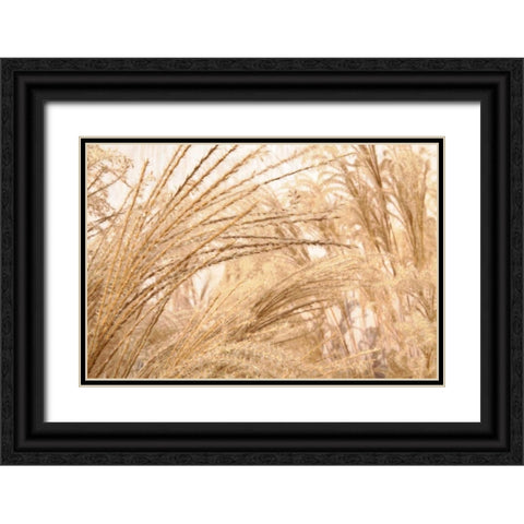 Blowing Grass II Black Ornate Wood Framed Art Print with Double Matting by Styber, Dana