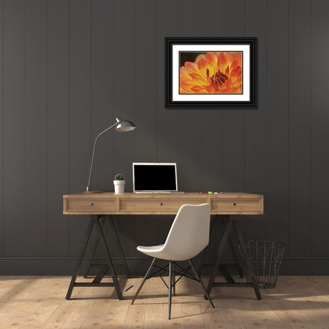 Orange Flame Black Ornate Wood Framed Art Print with Double Matting by Styber, Dana